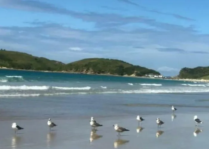 Casa Em Cabo Frio: Ampla E Aconchegante Para 8!